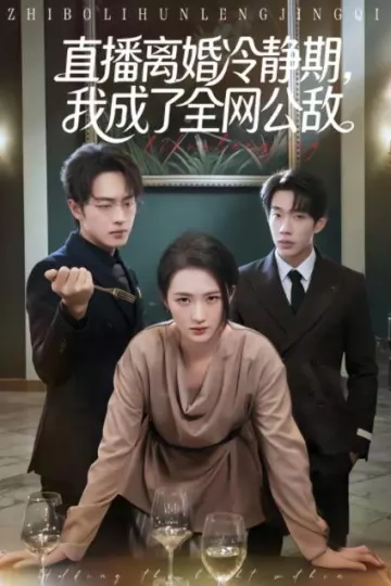 直播离婚冷静期，我成了全网公敌