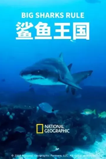 鲨鱼王国