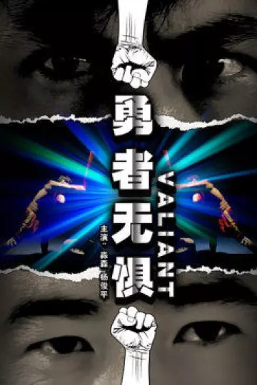 勇者无惧2009