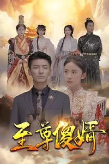 至尊傻婿