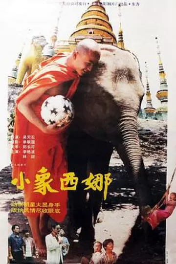 小象西娜