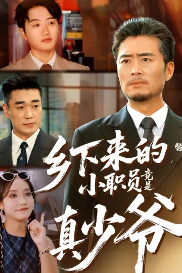 乡下来的小职员竟是真少爷
