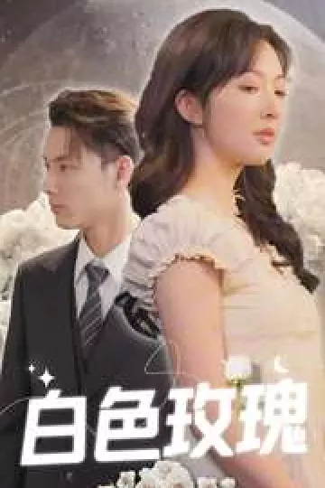 白色玫瑰