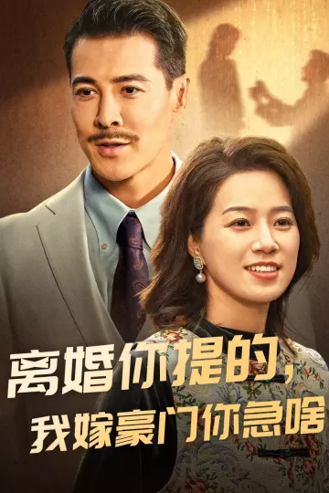 离婚你提的我嫁豪门你急啥