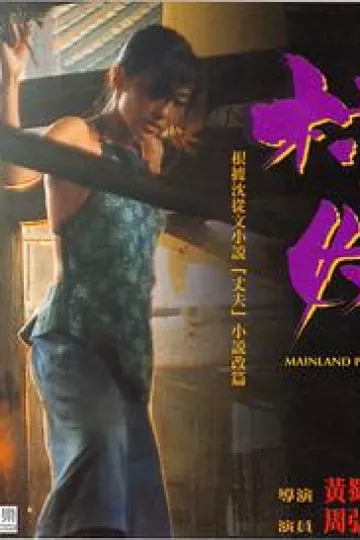 村妓1994[电影解说]