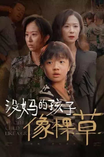 没妈的孩子像棵草