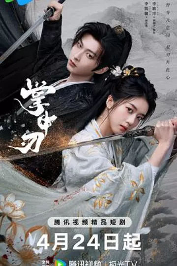 掌中刃