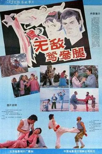 无敌鸳鸯腿[电影解说]