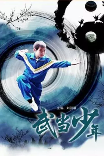 武当少年