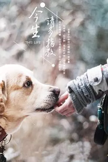 今生请多指教第三季