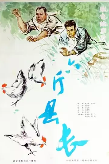 六斤县长