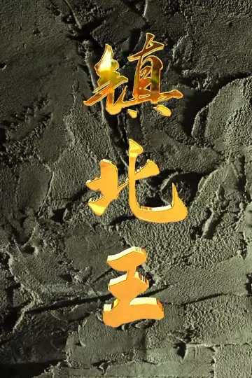 镇北王