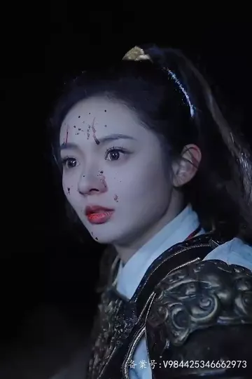 我的野蛮女将军