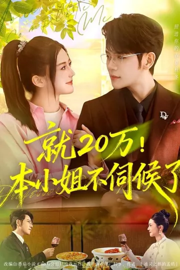 就20万!本小姐不伺候了