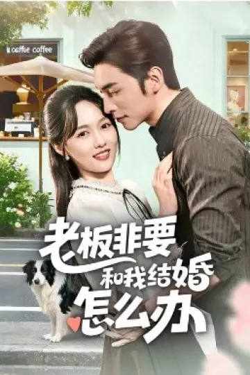 老板非要和我结婚怎么办