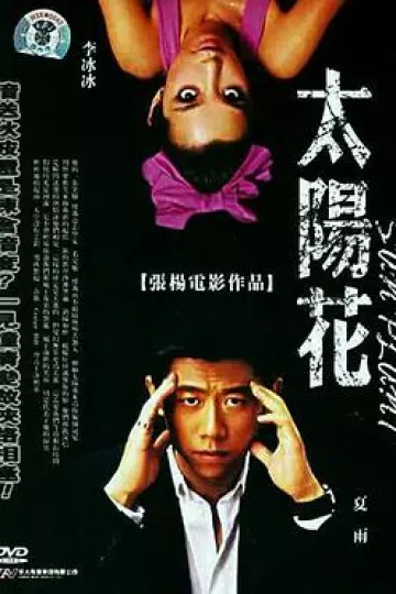 太阳花