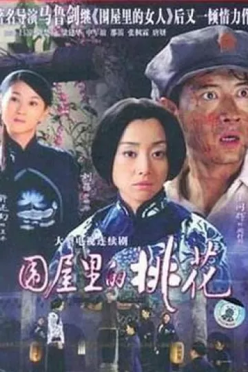 围屋里的桃花[电影解说]