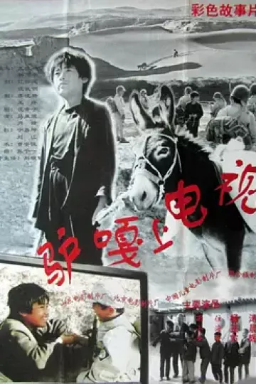驴嘎上电视