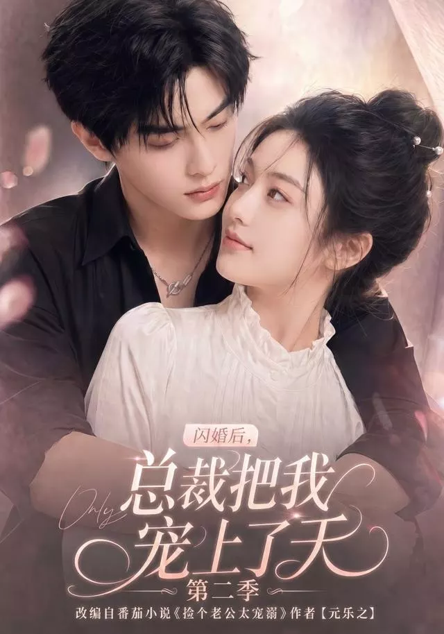 闪婚后,总裁把我宠上了天第二季