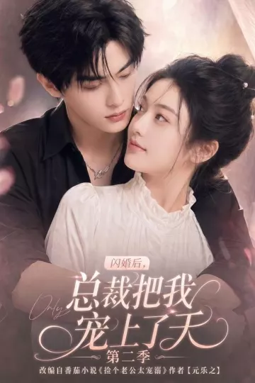闪婚后，总裁把我宠上了天第二季