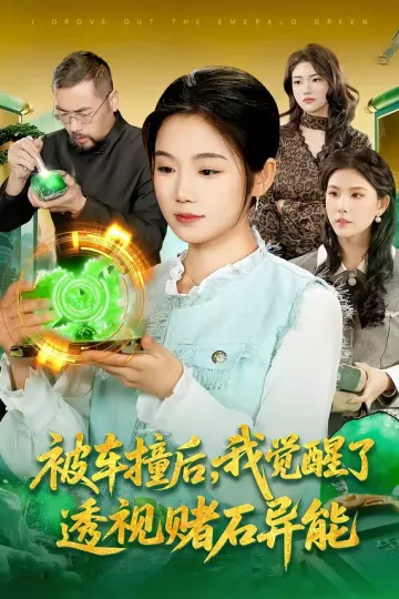 被车撞后，我觉醒了透视赌石异能了