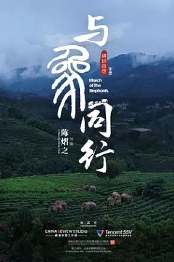 与象同行[电影解说]