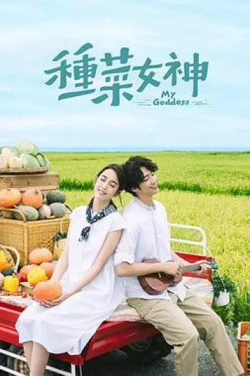 种菜女神