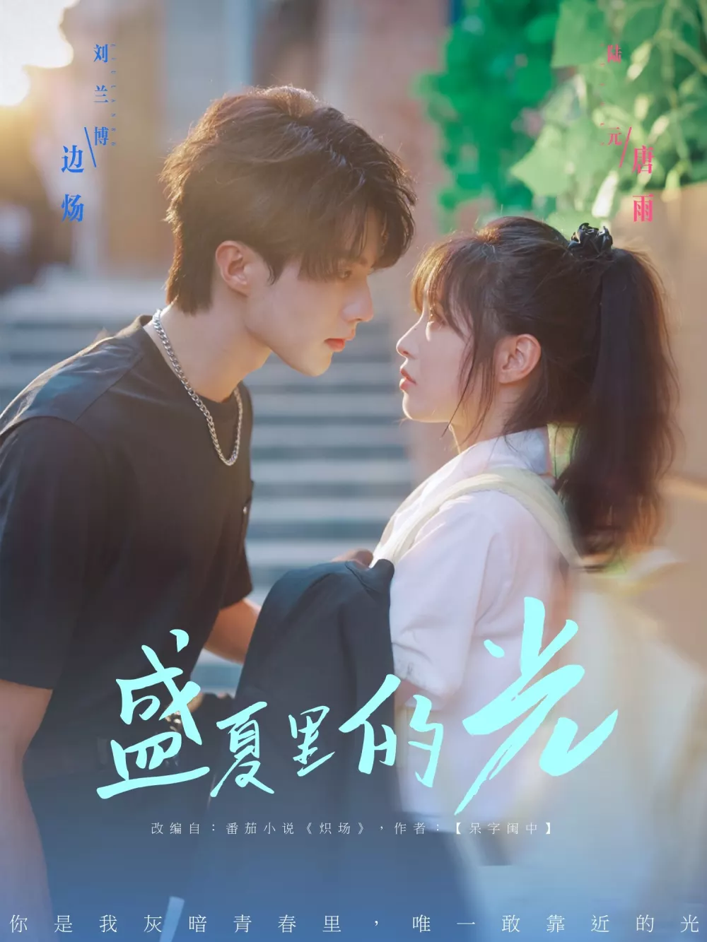 盛夏里的光