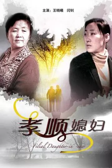 孝顺媳妇