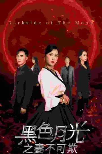 黑色月光之妻不可欺