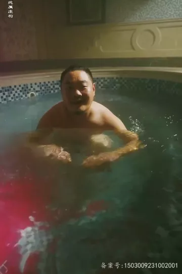 特工凤凰