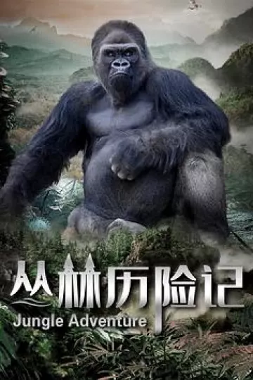 丛林历险记2020