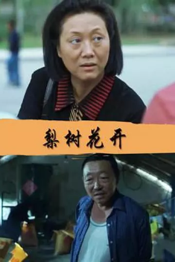 梨树花开