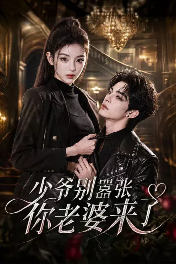 少爷别嚣张你老婆来了