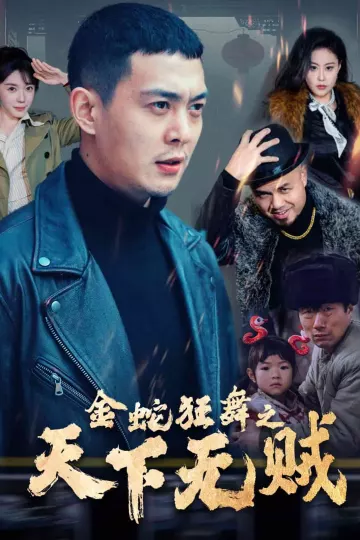 金蛇狂舞之天下无贼