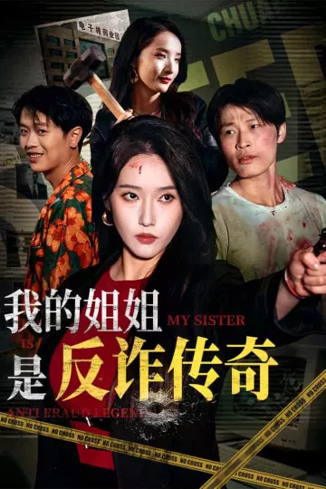 我的姐姐是反诈传奇