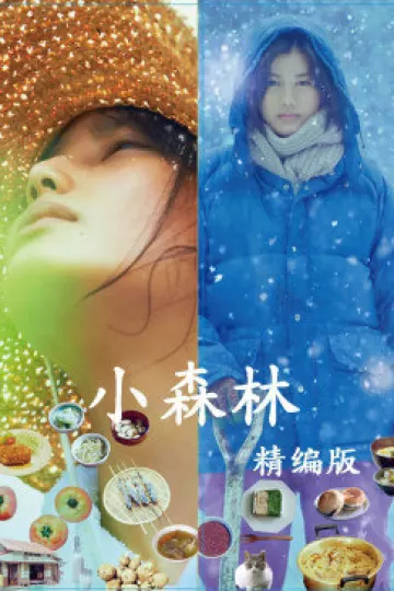 小森林精编版