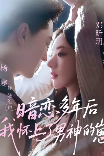 暗恋多年后我怀上了男神的崽