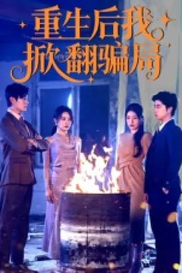 重生后我掀翻骗局