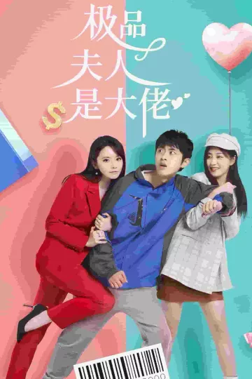 极品夫人是大佬