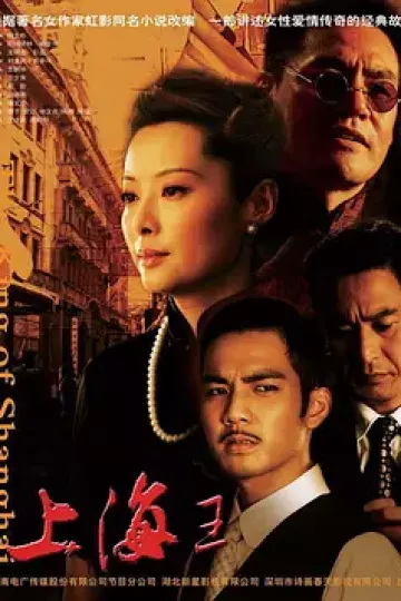 上海王2008[电影解说]