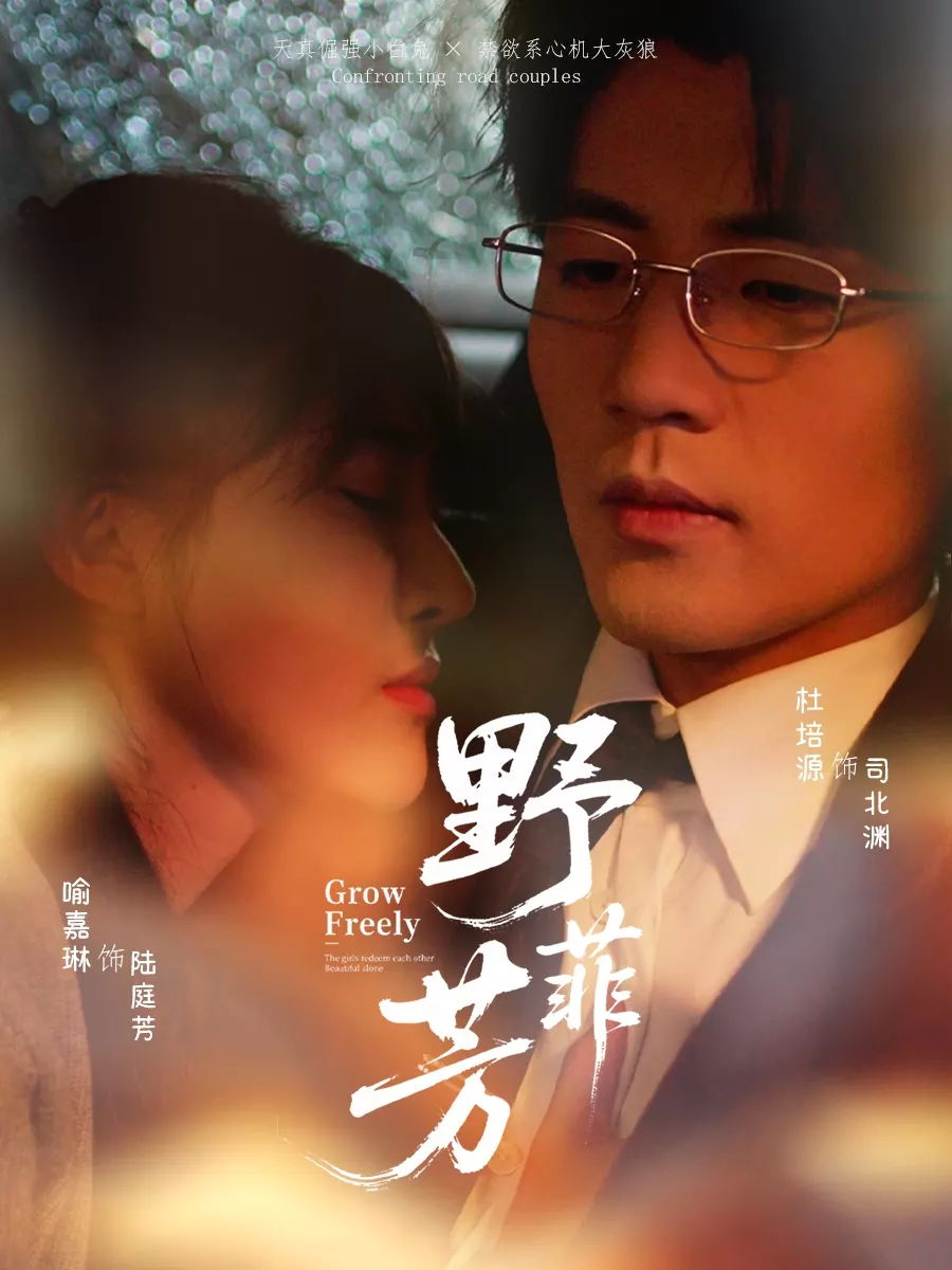 野芳菲