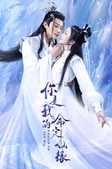你是我的命定仙缘