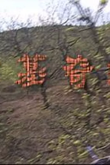 古墓奇缘
