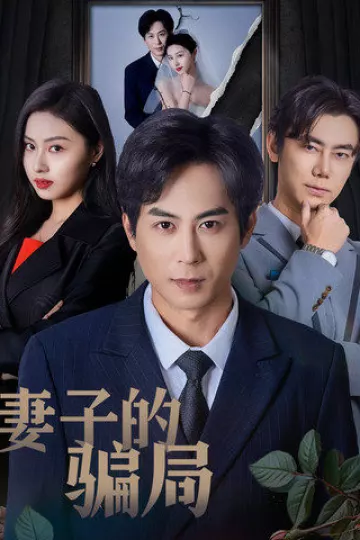 妻子的骗局