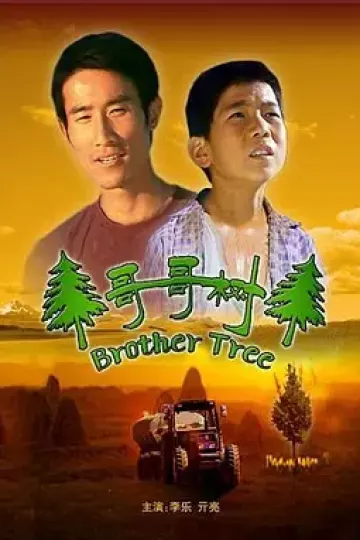 哥哥树[电影解说]