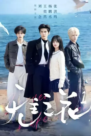 无主之花2026