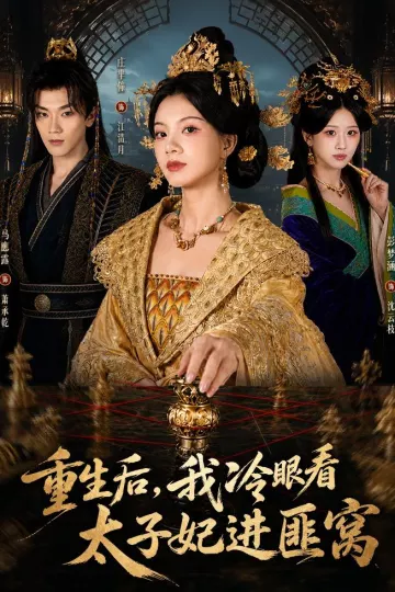 重生后,我冷眼看太子妃进匪窝