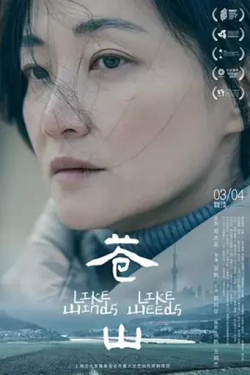 苍山2023