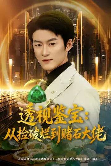 透视鉴宝:从捡破烂到赌石大佬